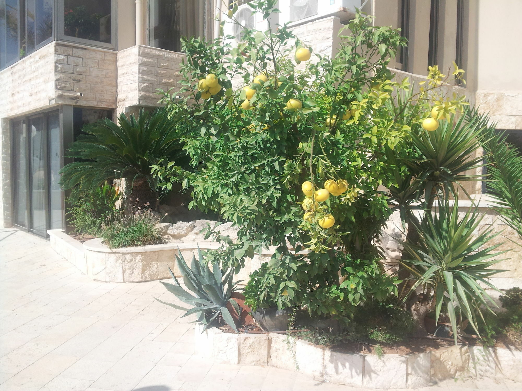 Marom Residence Romema Haifa Exterior foto